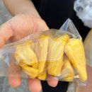 Thailand, 주끼리의 시작