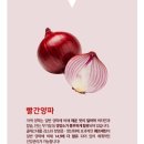 자색양파즙효능 미인레드양파즙 퀘르세틴정보까지 알아볼까요?!