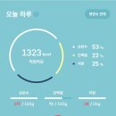 몸춤식단
