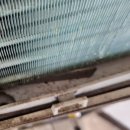 제일미곡종합처리장 이미지