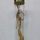 담금용 도라지 한뿌리, 거피하수오(병포함) 이미지