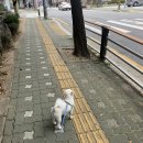 브라보PC방 | [10.14~10.20] 교수님 휴강은 한 번에 공지해 주시면 안 될까요?