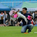 스포츠파트너 Daum카페