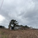 카페닻별 - 수성구 | 한림에서 갔던 카페 (feat.사심가득)