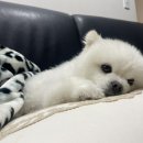 오씨오씨 이미지