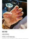 넬그리나 이미지