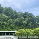 행정용 50 이미지