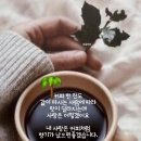 피 이미지