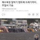 해수욕장 알박기 텐트, 쓰레기 무단 투기 시작... gif 이미지