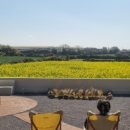 판포감동스테이 이미지