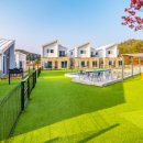 골드스푼애견풀빌라 이미지