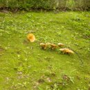 구암근린공원 이미지