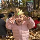 [가을퍼포먼스]낙엽을 밟으며 가을놀이를 했어요🍂🍁🍂🍁 이미지