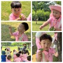 도토리숲속학교 이미지