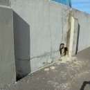 나주시보훈회관 이미지