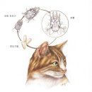 로잔동물의료센터 이미지