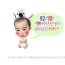 쏘그린 이미지