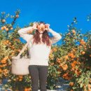 두대농장 이미지