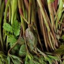 현미농장 이미지