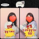 12월 2주