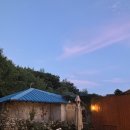 달뿌리집 이미지