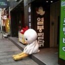 ㅠㅠ