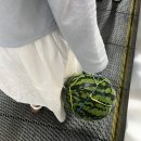 스테이246 이미지