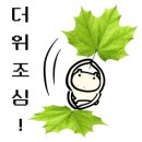 화성보일러 이미지