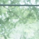 신세계정치과의원 이미지