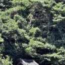 안동권씨 열녀각 이미지