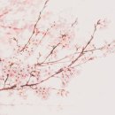 방화초등학교 이미지