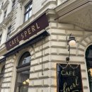 아인스크랩 | 비엔나 여행 비포선라이즈 촬영지 카페 스펠 cafe sperl