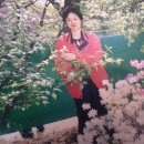 가원민박 Daum카페