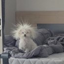 서울여성의원 이미지