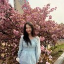 대구대학교 정문 | [대구 근교 꽃 명소] : 대구대학교 겹벚꽃 실시간 후기 (+유채꽃, 미즈컨테이너)