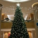 포피스 피자 | [나트랑여행] 나트랑 분위기 좋은 레스토랑 <피자포피스> 피자/메뉴/후기