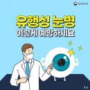 폭염날씨 관련 놀이 안전 수칙 / 여름 유행성 눈병 이미지