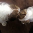 (주)더오 이미지