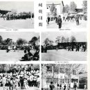 안청중학교 이미지