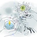 호연심리상담센터 이미지