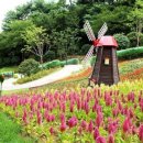 사상근린공원 이미지