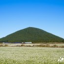 (주)제주카카 이미지