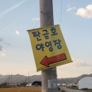 탄금호야영장 이미지