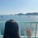 영도 진주해장국 | [주간 일기/24년 5월-①②] 일본여행 다녀오느라 2주치 주간일기 갑니다_2주 요약본