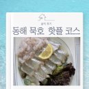 황해횟집 - 태안군 | 동해 묵호 핫플 코스 황해횟집, 브릭베이커리 카페 솔직 후기