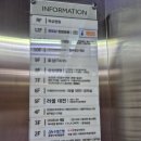 한돈보쌈 | 대전 둔산동 밥집 풀잎채한상 점심 한돈보쌈에 솥밥 청국장 후기