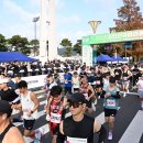 태화초교 이미지