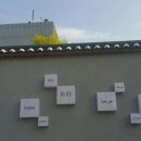 PIZZA DI ROMA 이미지