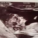 고양이 세수_설렘 이미지