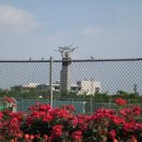 노루메기 이미지